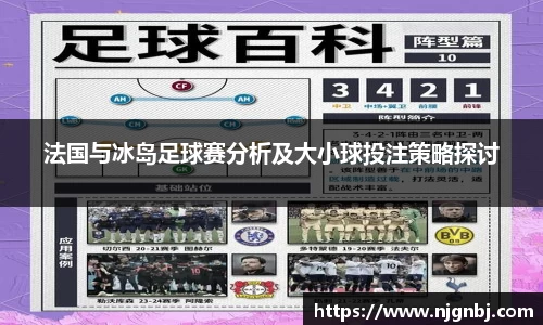 法国与冰岛足球赛分析及大小球投注策略探讨